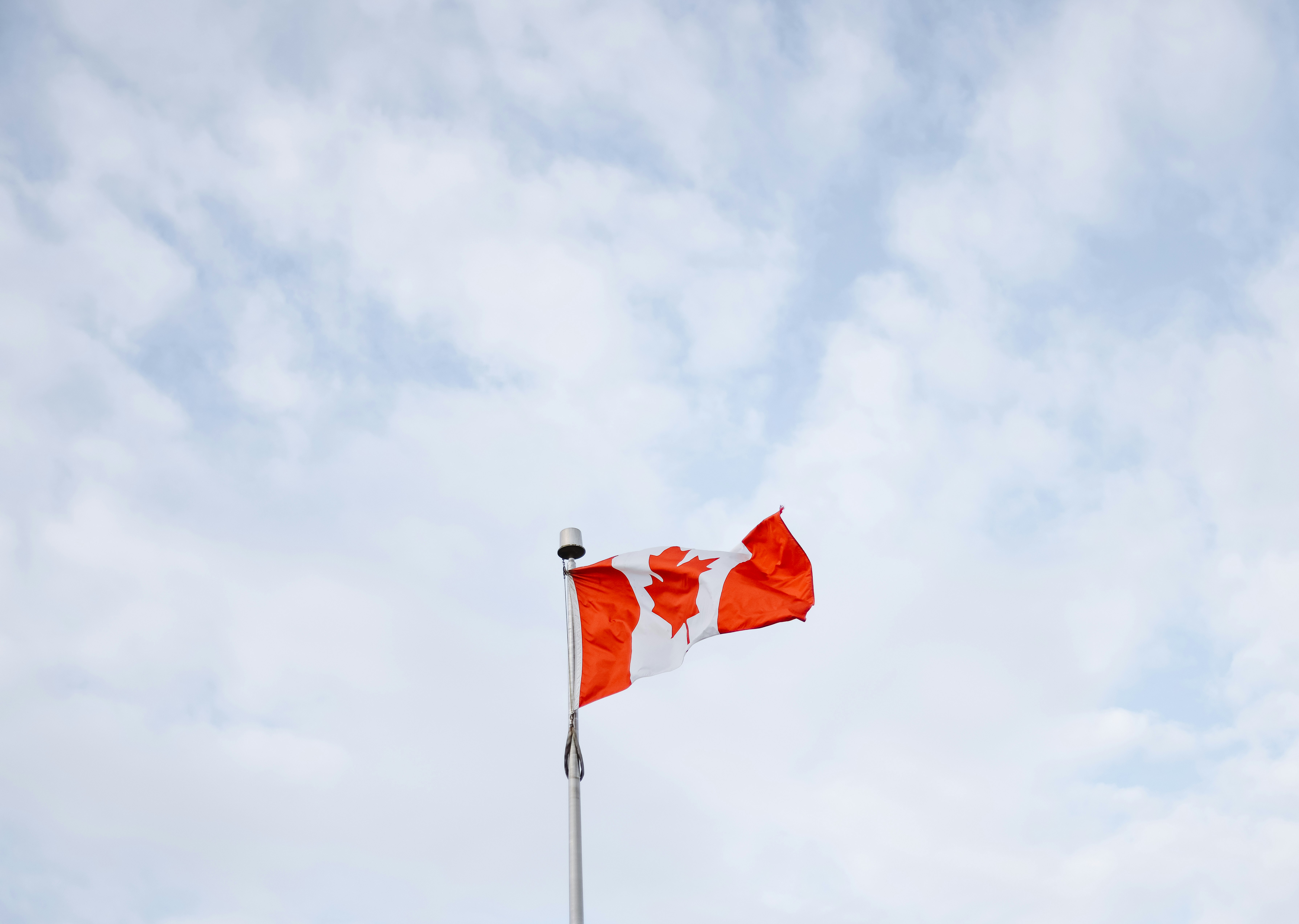 Weekend rental convertible on scenic route